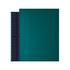 DAH Solar 430W green Doppelglas (GRÜNES PV MODUL) (Container = 936 Stück)