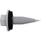SCHLETTER thin sheet screw 6.0x22 A2 with sealing plug oZ