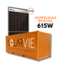 DAH Solar 615W Doppelglas Bifacial (Container = 720 Stück)