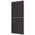 Trina Solar TSM-705NEG21C.20 705 watt vetro/vetro, bifacciale